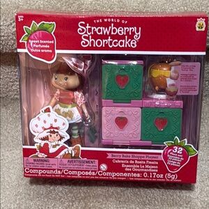 Strawberry Shortcake Doll with Accessories